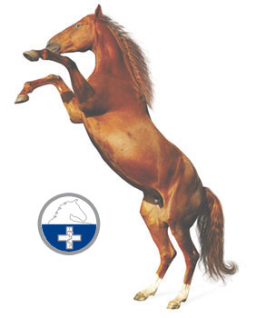 THP-Logo